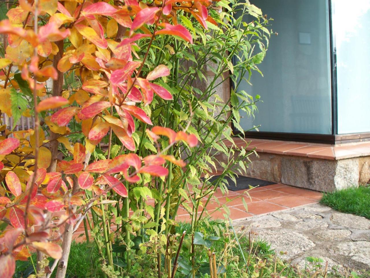 Apartamentos El Roble Valverde de la Vera Extérieur photo